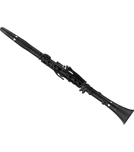 Amazon | Buffet Crampon R13 B♭クラリネット (ビュッフェ クランポン